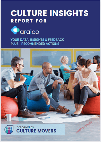 Culture Insights Cover Culture Insights Cover