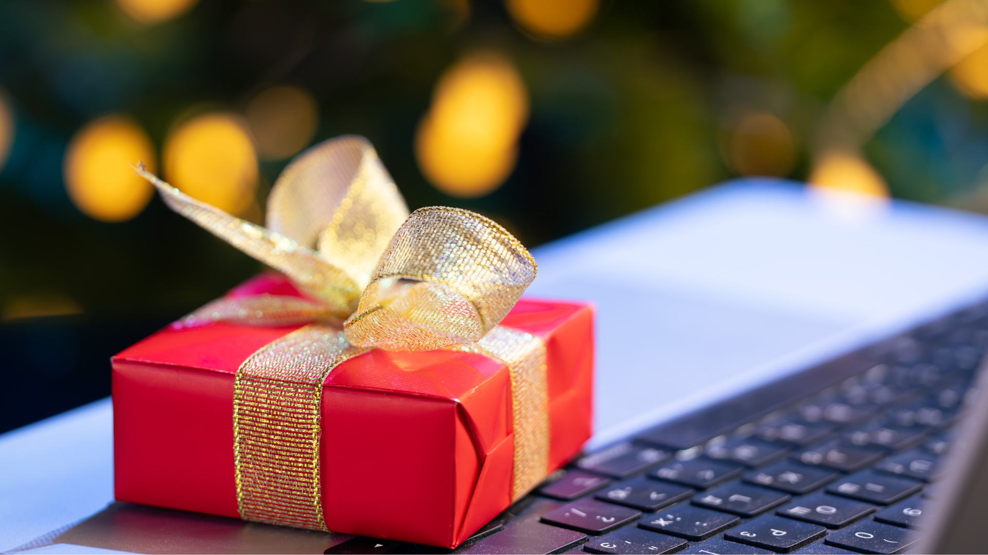 Newsletter Images- CM